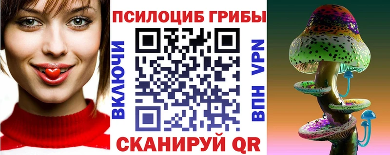 omg ССЫЛКА  Злынка  Галлюциногенные грибы Psilocybe 